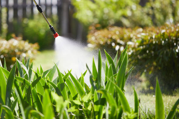 24/7 Emergency Mosquito Control experts in Warren, OR